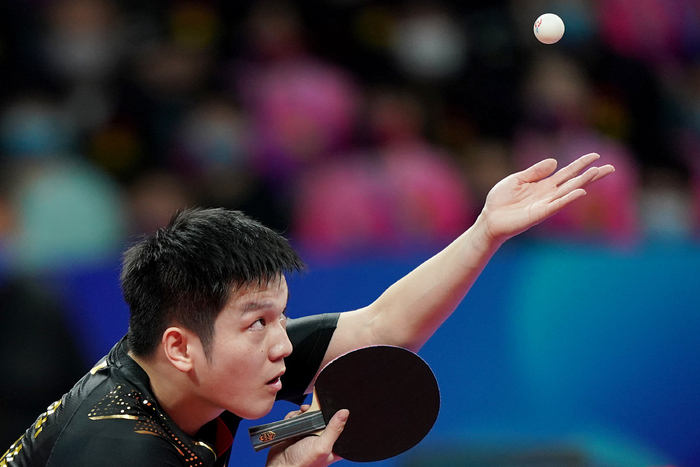 这种丰富的 这种丰富的